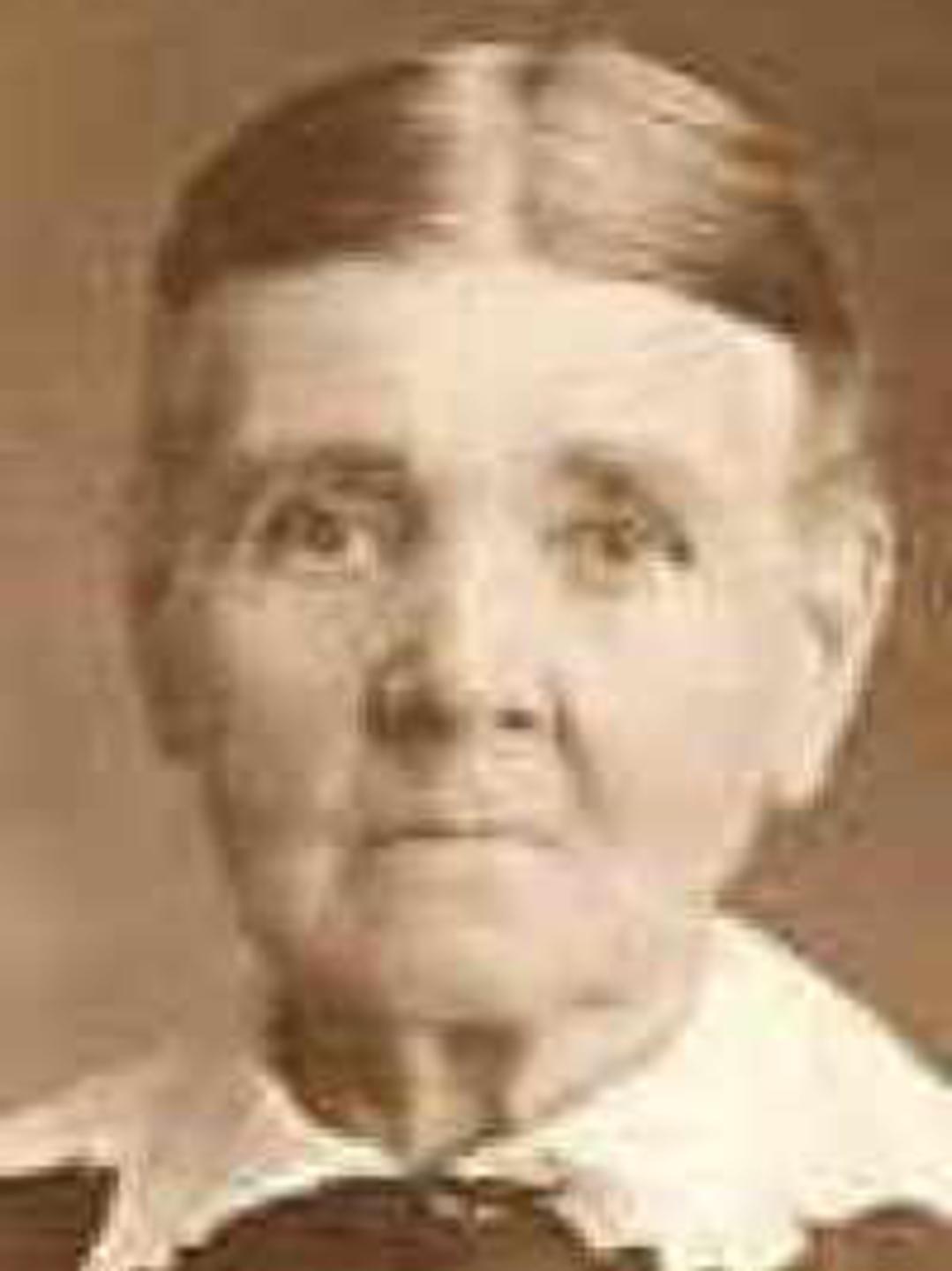 Sarah Elizabeth Maxfield (1844 - 1932) Profile